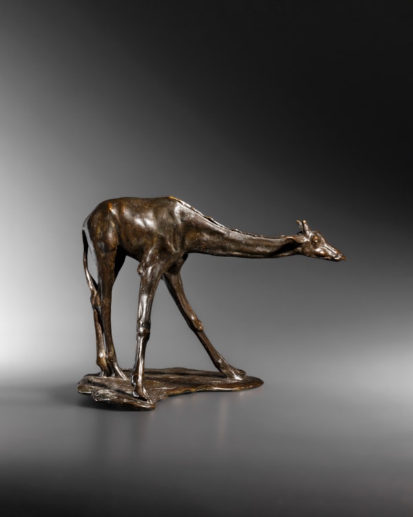 Rembrandt BUGATTI: "Girafe buvant", Bronze, signed ‘R. Bugatti’, and numbered
Stamped by the foundry A.-A. Hébrard
1907 - 1910
H. 14,5 ; L. 18,5 ; P. 17 cm.
 - Xavier Eeckhout